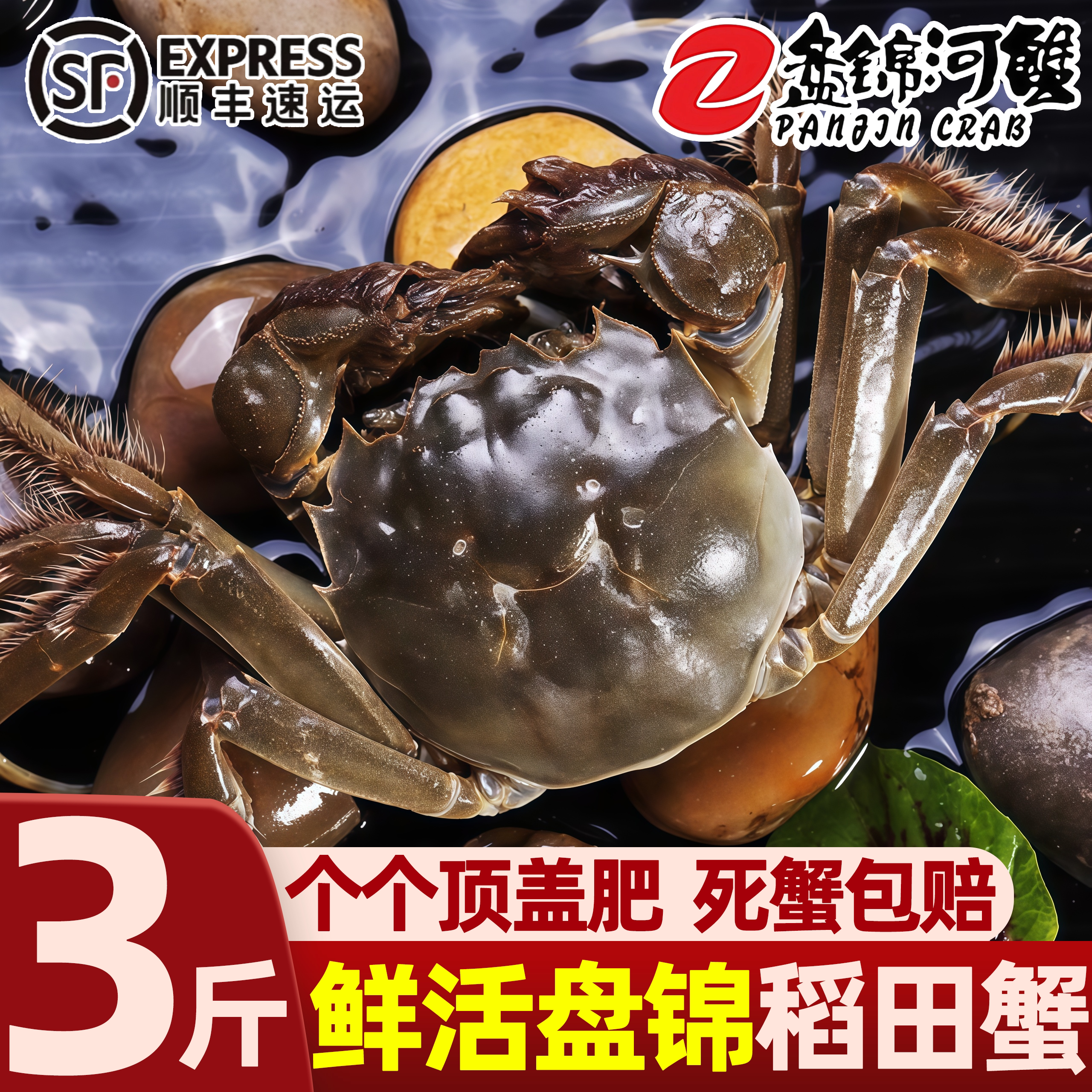 盘锦特惠纯母河蟹去绳净重整箱
