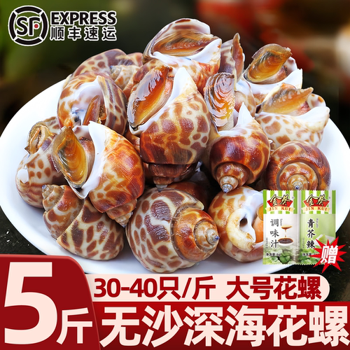 花螺新鲜鲜活特大无沙生鲜捞汁东风螺海鲜水产鲜冻香螺商用批发