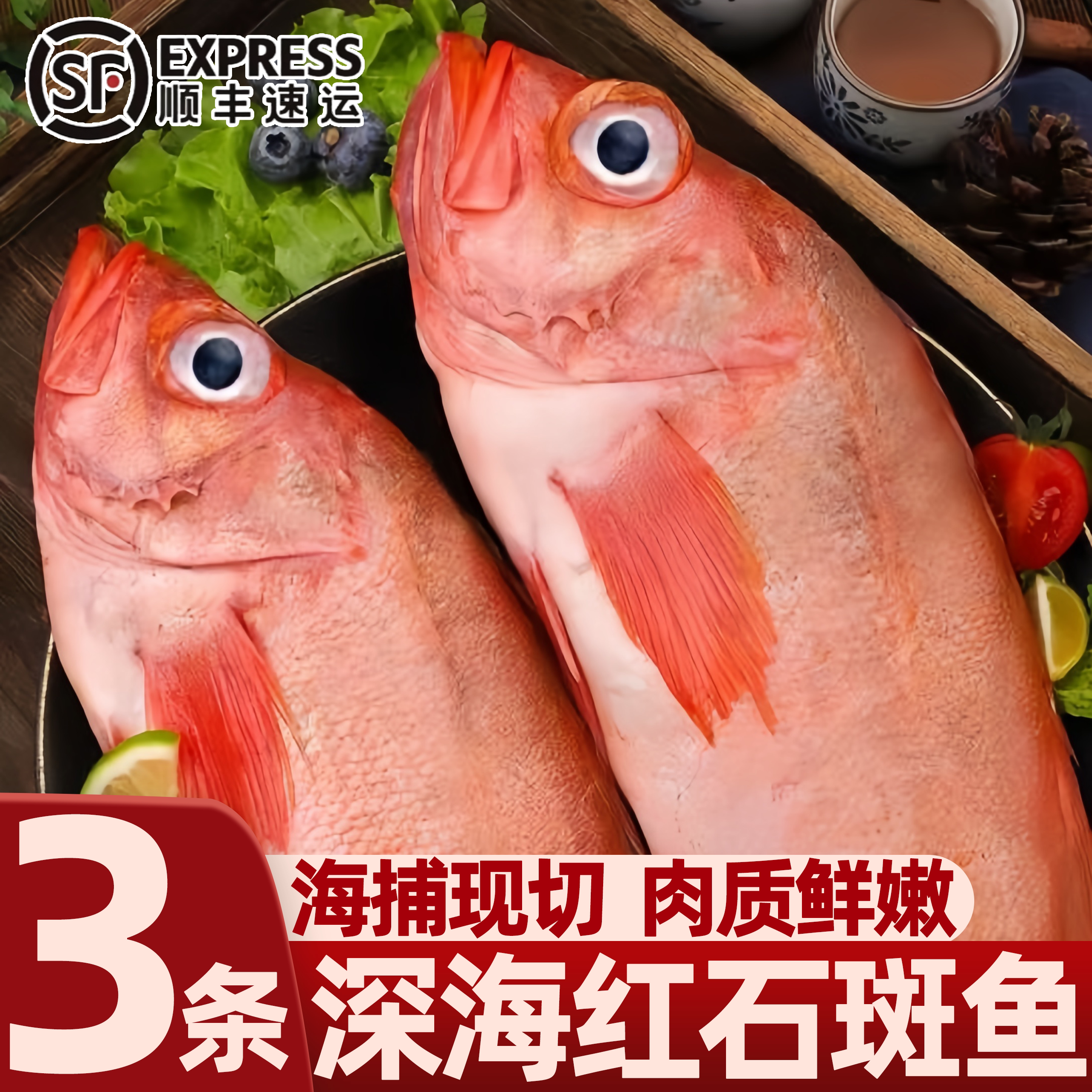 山东青岛红石斑鱼新鲜冷冻批发
