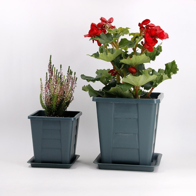 速发正方气塑根控料花盆 透形盆台绿植盆栽月季加仑青山盆量大优