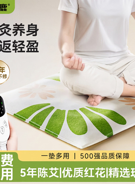 艾灸坐垫电加热陈艾绒艾蒿艾草热敷包毯发热办公室臀部屁股座垫子