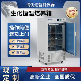 细菌霉菌生化培养箱 微生物细胞低温培养箱 智能恒温培养箱厂家