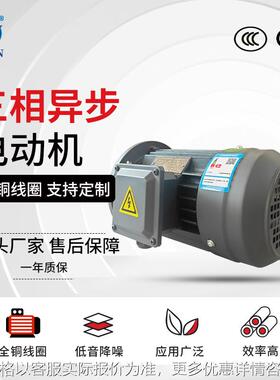 3-225-6极三相异步电动机全铜国标马达30380交流纺织电机
