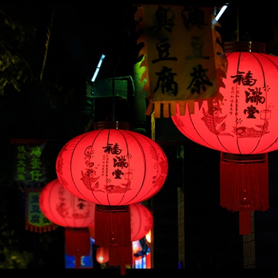 Hanging Flocking Lantern New Year 2022 Chinoiserie Decoratio