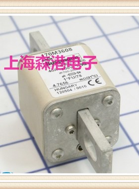 全新底座保险丝熔芯熔断器170M3608