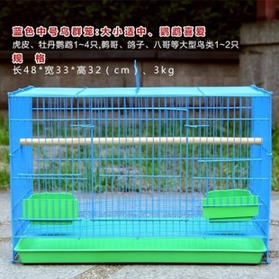 极速鸡笼子繁殖加密家用养殖笼小型小号笼鹧鸪鸽子笼配对下蛋鹌鹑