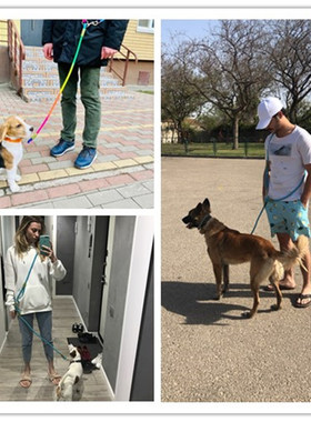 Dog Leash Harnesses Leads for Dogs Walking Slung Shoulder Ha