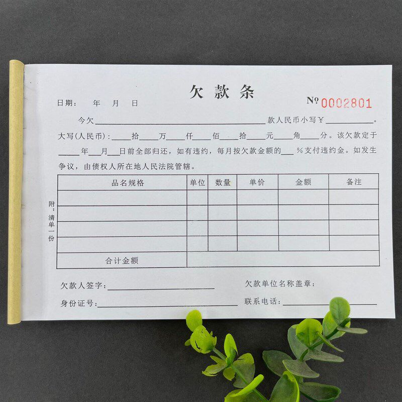 好货2本装通用正规货款饲料农贸店欠款条二联单联欠条清单借条欠