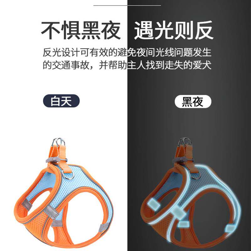 猫咪牵引绳背心式胸背带外出防挣脱春夏专用溜猫绳子栓猫链子用品