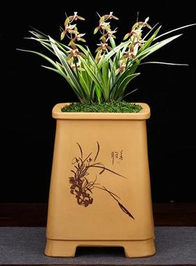 精品黄色四方紫砂兰花盆大号高千筒手工高档陶瓷桌面绿植老桩包邮