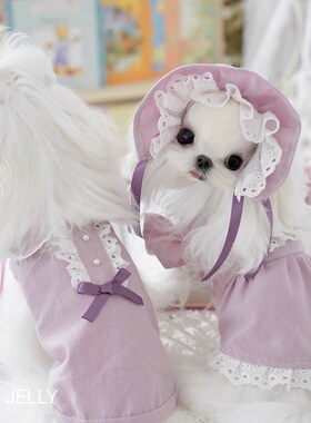 JELLY果冻家新品情侣紫色宠物猫狗手工衣服定制马尔济斯约克夏