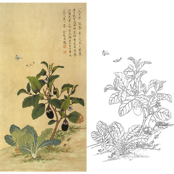 工笔画白描底稿蔬菜茄子实物勾线打印稿俞致贞茄菜图尺寸可选JV06