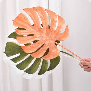 home leaf leaves hotel landscaping Simulation window turtle