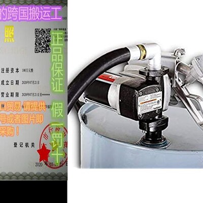 极速Fuelworks 10307604A 120V 20GPM Fuel Transfer Pump Kit 14