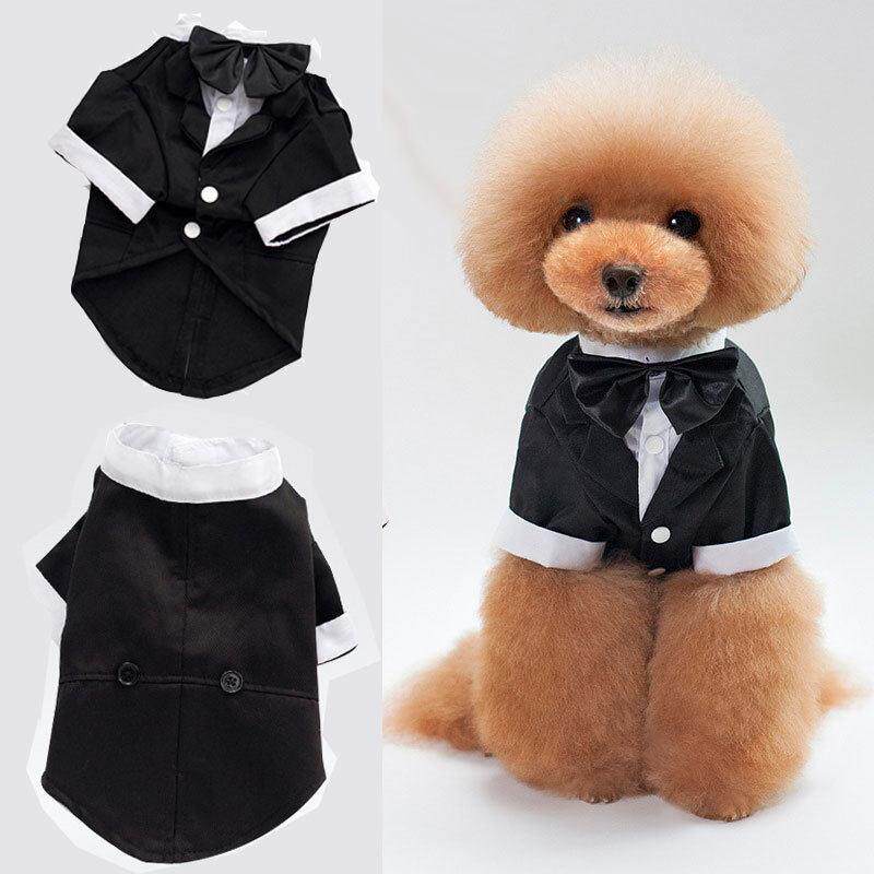 宠物西装外套结婚新郎马甲狗狗礼服蝴蝶结领结猫咪帅气两脚衣服饰