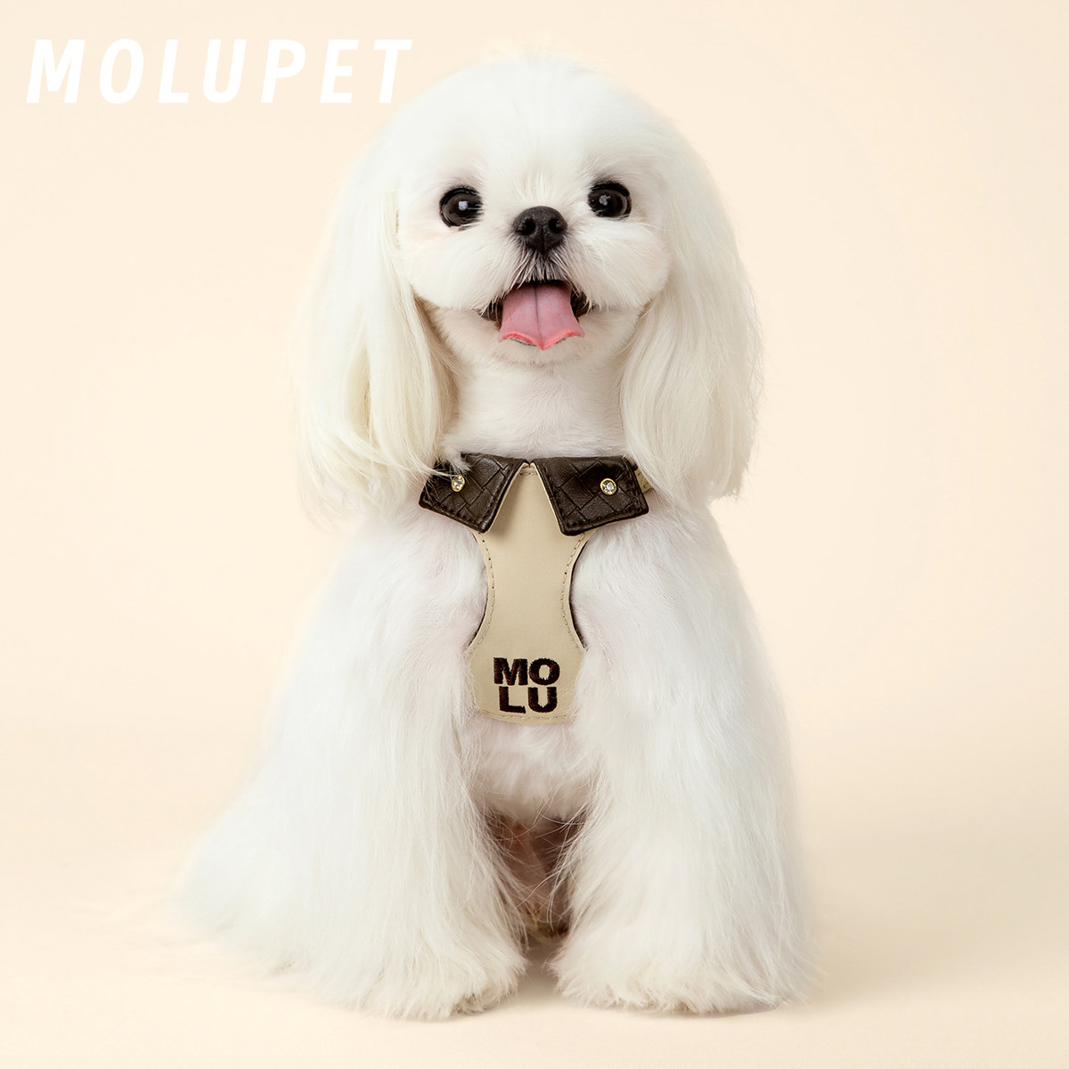 MOLU PET狗狗牵引绳小型中犬狗绳子遛狗绳背心式皮革防挣脱胸背带