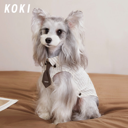 KOKI宠物领带婚礼衬衫打底衣搭配四季条纹咖色社交日韩系小型犬