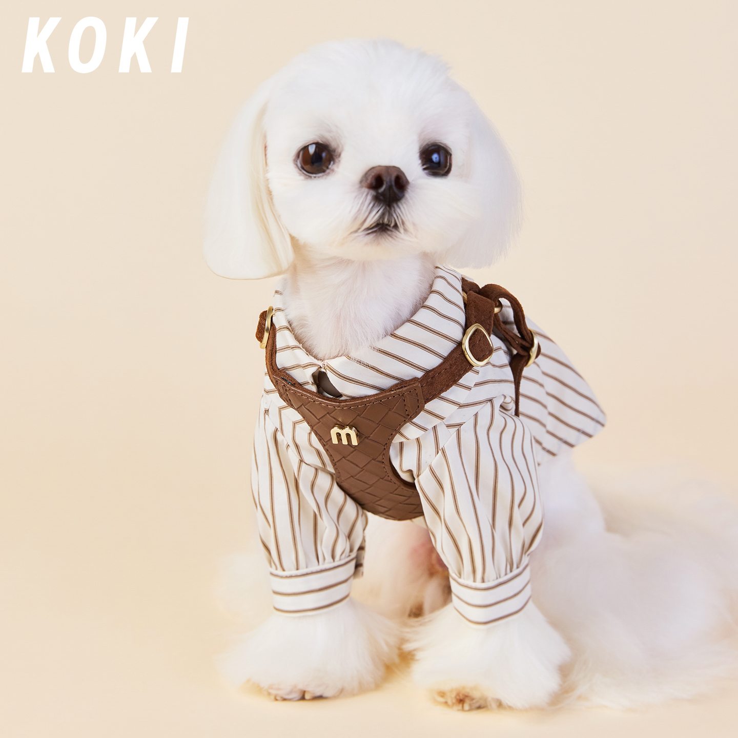 KOKI宠物衬衫打底衣搭配四季条纹咖色日韩系小型犬比熊马尔济斯