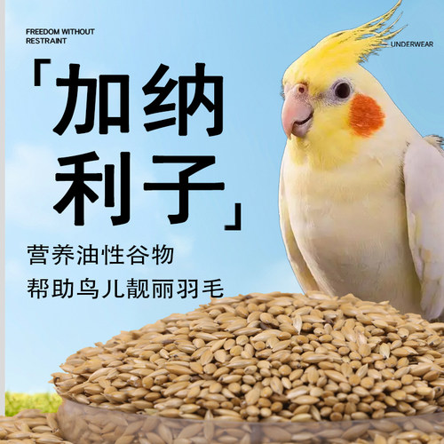 鹦鹉鸟零食加纳利子虎皮草籽