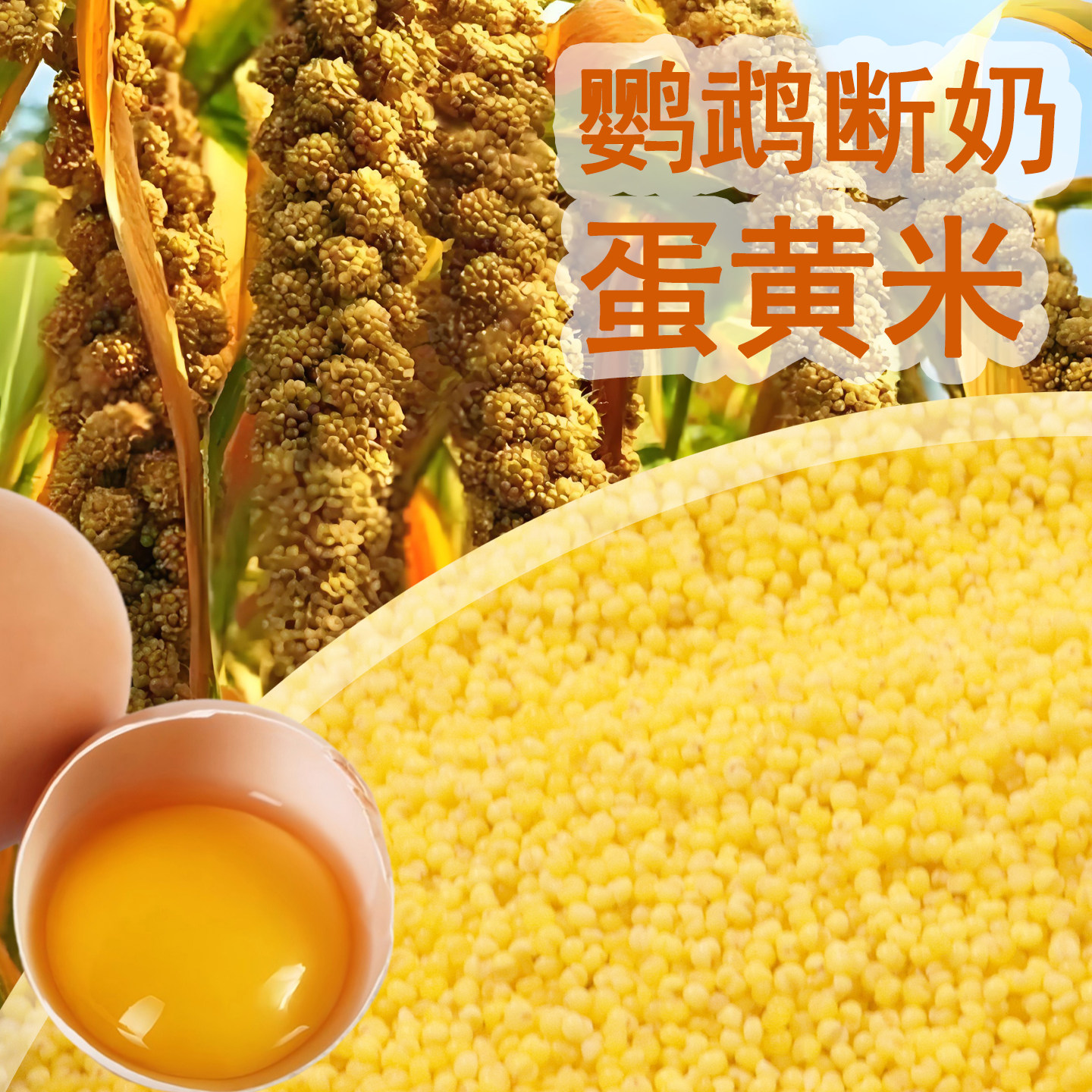 鹦鹉蛋小米饲料鸡蛋小米鸟食无壳小米虎皮玄凤牡丹珍珠繁殖营养粮,宠物/宠物食品及用品,鸟食,淘宝优惠券,粉丝福利购,淘宝优惠卷