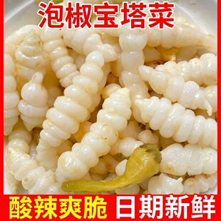 重庆特产贵州宝塔玉珠宝塔菜黔江牯牛泡椒山椒酸辣下饭泡菜螺丝菜