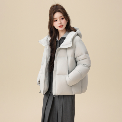 雪中飞2025年冬装新款羽绒服