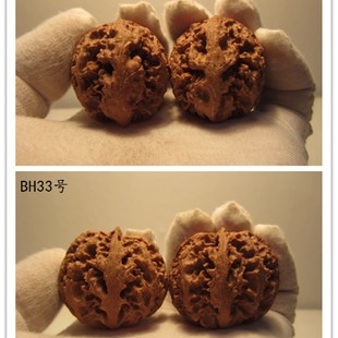 文玩核桃收藏级狮子头官帽一物一图 秦岭野生大粗筋灯笼【壁虎】