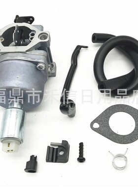 园林化油器套件799727 698620 495935 690194割草机化油器含配件