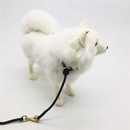 带限位扣圆形尼龙专业比赛牵引绳金毛柯基犬法牛训犬P链带 包邮