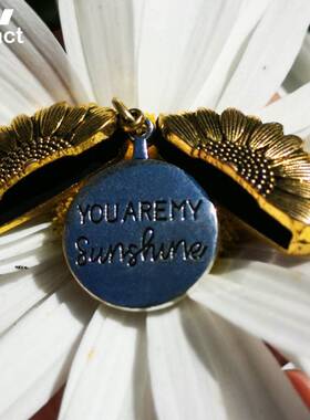 极速You Are My Sunshine Open Locket Sunflower Pendant Neckla