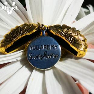Sunshine Neckla 极速You Sunflower Pendant Locket Are Open