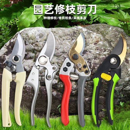 速发修枝剪园艺剪刀剪树枝剪修家用园林修剪果树刀枝花艺省力剪刀