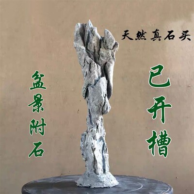 速发英德石盆景附石树抱石条形石书房摆件造配景观赏真奇石头庭院