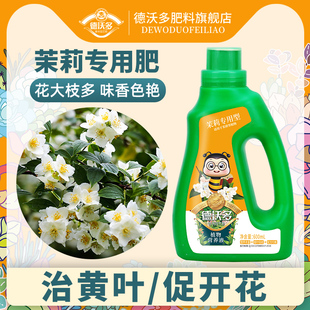 速发茉莉子专用浓缩营养液酸性用用养花肥料盆栽茉莉花栀花花通家