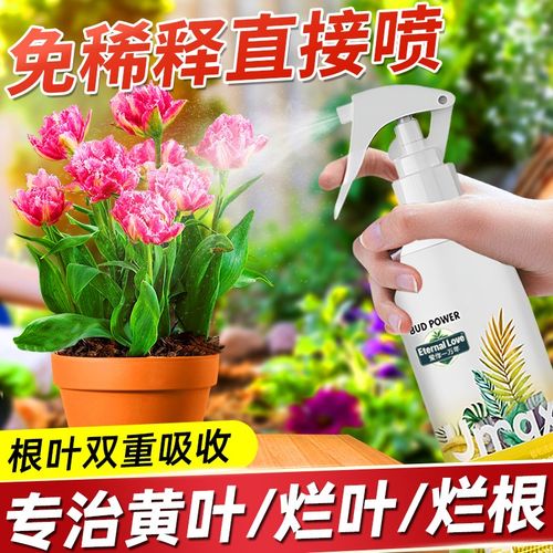 速发施内盆栽植物营养卉免稀释通用型叶面肥喷室花液绿植花草养花