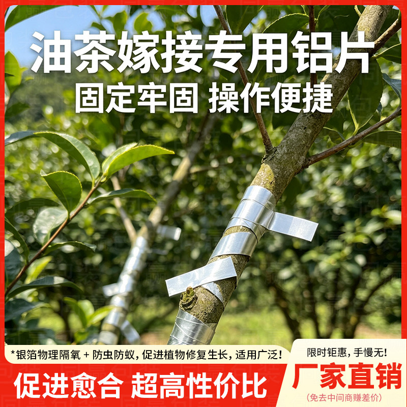 油茶树苗嫁接铝片伤口愈合锡纸盆景专用锡箔纸促进生长提高成活率