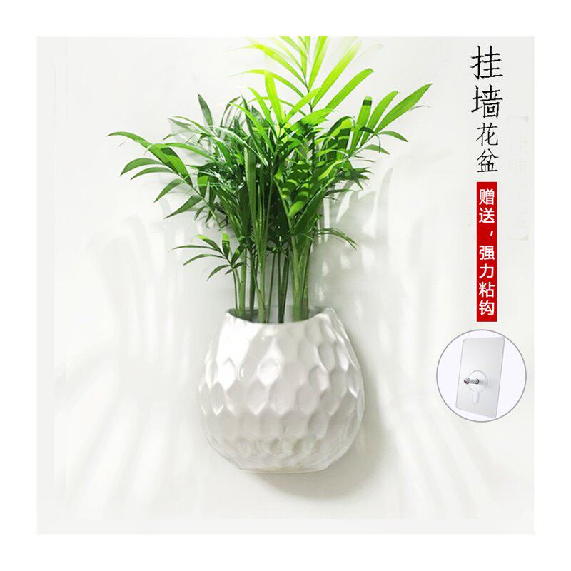 现货速发新品垂吊兰花盆壁挂墙壁花盆水培土培台悬挂盆吊盆陶瓷多