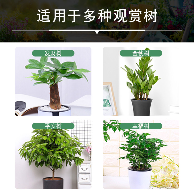 现货速发发财树肥料室内肥营养液龙血树铁树平安幸福通用植物花草