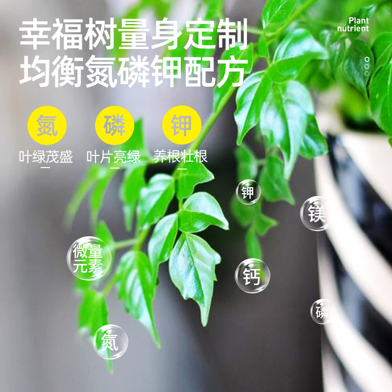 现货速发幸福树肥料营养液室内掉叶子落叶黄叶肥盆栽树木植物花肥