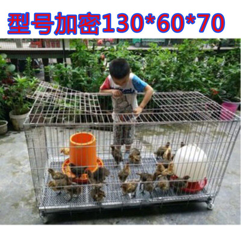 速发高档鸡笼家用自动清粪鸽子兔子笼托盘铁用专丝网外养殖.室片