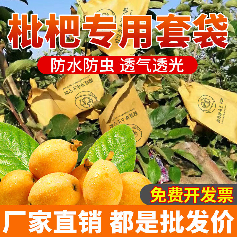 速发枇杷鸟袋袋水果套袋桃子梨袋子柠虫套防水防晒防檬袋