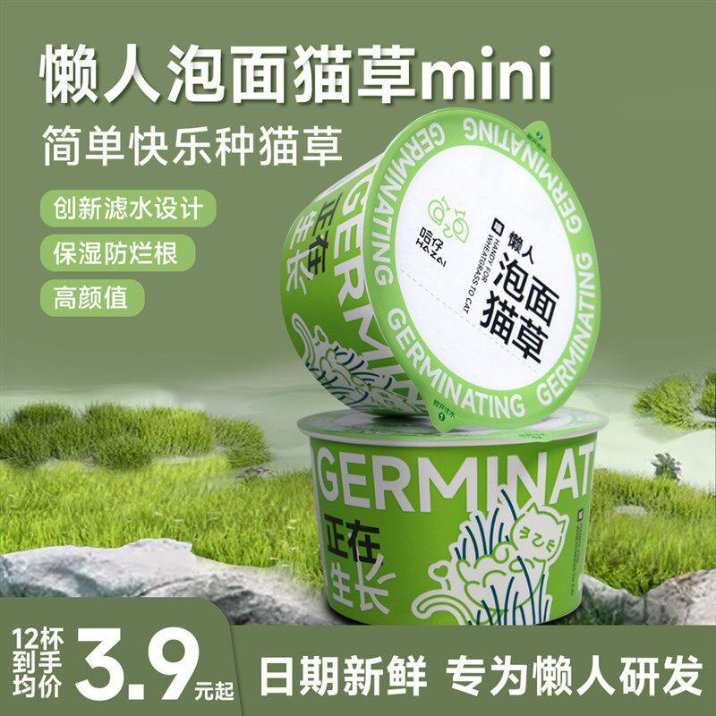 速发懒人泡面猫水创新滤水设计猫草草培杯草毛草自种猫化盆栽