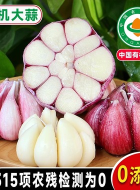 佰家珍品云南有机大蒜正宗干蒜带紫皮蒜瓣新鲜多瓣蔬菜文山干蒜瓣