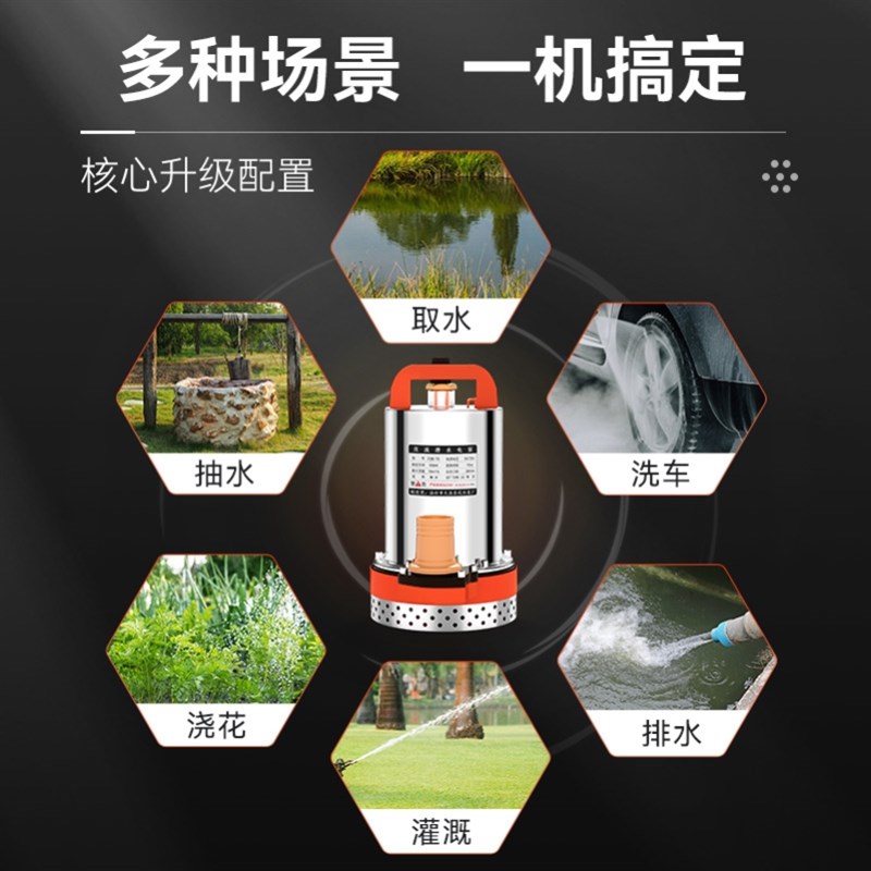 现货速发潜水泵农田灌溉插在电瓶车上的水泵12v24v48v60v深井农田