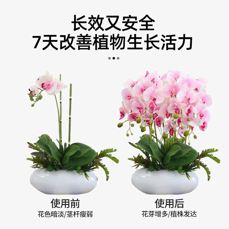 蝴蝶兰肥料专用肥缓释肥兰科君子兰墨兰促开花家用盆栽植物颗粒肥