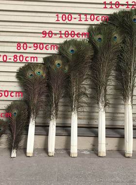 孔雀毛真羽毛家里摆设的装饰品客厅摆件大件插孔雀毛羽毛的花瓶