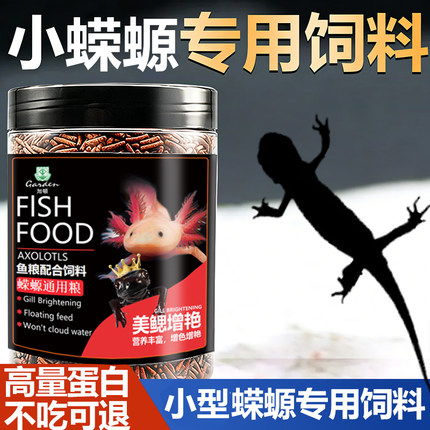小火龙粮冷水鱼清洁可爱宠物小型鱼淡水观赏鱼东方娃娃鱼蝾螈饲料
