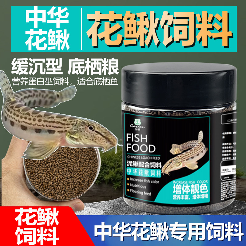 中华花鳅专用下沉不臭水鱼饲料