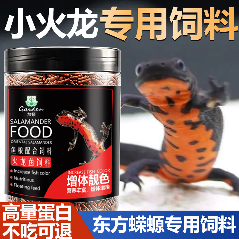 小火龙粮冷水鱼清洁可爱宠物小型鱼淡水观赏鱼东方娃娃鱼蝾螈饲料