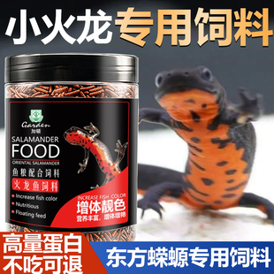 小火龙粮冷水鱼清洁可爱宠物小型鱼淡水观赏鱼东方娃娃鱼蝾螈饲料